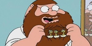 peter griffin birds beard